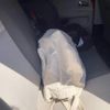 volkswagen up 2012 CFJ1681477 image 16