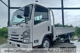 isuzu elf-truck 2019 GOO_NET_EXCHANGE_0401987A30240831W001