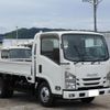 isuzu elf-truck 2019 GOO_NET_EXCHANGE_0709067A30240621W001 image 2