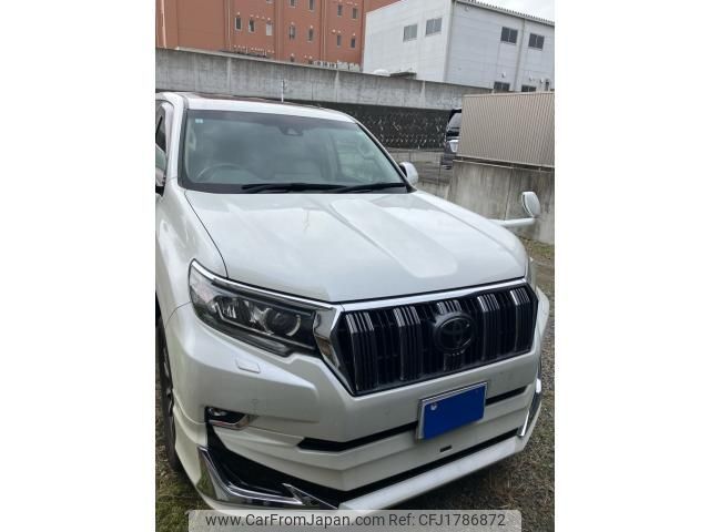 toyota land-cruiser-prado 2019 CFJ1786872 image 1