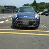 mini mini-others 2016 CFJ1392591 image 4