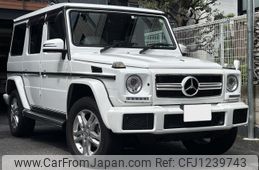 mercedes-benz g-class 2018 quick_quick_LDA-463348_WDB4633482X293319