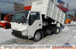 isuzu elf-truck 2010 GOO_NET_EXCHANGE_0302609A30241211W001