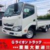 toyota dyna-truck 2020 GOO_NET_EXCHANGE_0730189A30250530W001 image 1