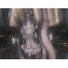 nissan x-trail 2009 CFJ1779200 image 15