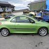 peugeot 206 2003 CFJ1715705 image 4