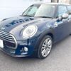mini mini-others 2017 CFJ1729483 image 17