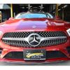 mercedes-benz cls-class 2019 quick_quick_LDA-257314_WDD2573142A049178 image 3