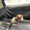honda freed 2008 CFJ1810022 image 13