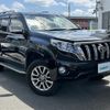 toyota land-cruiser-prado 2017 -TOYOTA--Land Cruiser Prado LDA-GDJ150W--GDJ150-0018959---TOYOTA--Land Cruiser Prado LDA-GDJ150W--GDJ150-0018959- image 17