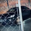 audi tt 2015 CFJ1537477 image 17