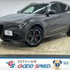 alfa-romeo stelvio 2021 -ALFA ROMEO--Alfa Romeo Stelvio 3DA-94922--ZARPAHJX1M7D20875---ALFA ROMEO--Alfa Romeo Stelvio 3DA-94922--ZARPAHJX1M7D20875- image 1