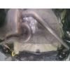 suzuki swift 2023 CFJ1561926 image 14