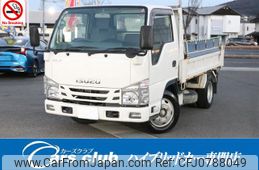 isuzu elf-truck 2019 GOO_NET_EXCHANGE_1002110A30250204W001