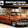 chevrolet c-10 1979 CFJ1560228 image 1