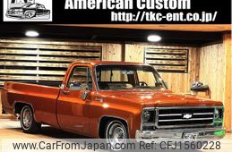 chevrolet c-10 1979 CFJ1560228