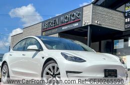 tesla-motors model-3 2021 quick_quick_00000_LRW3F7EB9MC225825