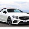 mercedes-benz e-class 2019 quick_quick_238461_WDD2384612F096431 image 10