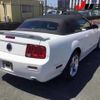 ford mustang 2007 -FORD--Ford Mustang ﾌﾒｲ--5173303---FORD--Ford Mustang ﾌﾒｲ--5173303- image 8