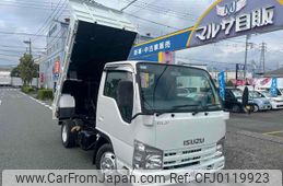 isuzu elf-truck 2010 GOO_NET_EXCHANGE_0600699A30240819W001