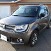 suzuki ignis 2017 quick_quick_DAA-FF21S_FF21S-128646 image 6