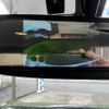 nissan nv150-ad 2020 quick_quick_VY12_VY12-278381 image 11