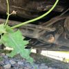 honda edix 2008 -HONDA--Edix DBA-BE3--BE3-1203135---HONDA--Edix DBA-BE3--BE3-1203135- image 10
