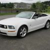 ford mustang 2007 -FORD--Ford Mustang ﾌﾒｲ--ｱｲ5163902ｱｲ---FORD--Ford Mustang ﾌﾒｲ--ｱｲ5163902ｱｲ- image 2