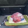 toyota c-hr 2018 CFJ1576986 image 19