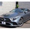 mercedes-benz cls-class 2020 -MERCEDES-BENZ--Benz CLS LDA-257314--W1K2573142A054917---MERCEDES-BENZ--Benz CLS LDA-257314--W1K2573142A054917- image 11