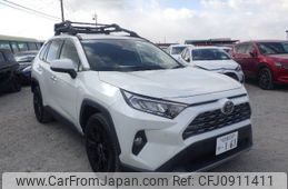 toyota rav4 2019 N5025030031F-10