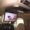 toyota alphard 2009 CFJ1801598 image 9