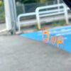toyota prius 2017 -TOYOTA--Prius DAA-ZVW51--ZVW51-8042001---TOYOTA--Prius DAA-ZVW51--ZVW51-8042001- image 5