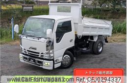 isuzu elf-truck 2019 GOO_NET_EXCHANGE_0709180A30241008W001