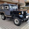 mitsubishi jeep 1996 CFJ0831269 image 2