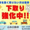 isuzu elf-truck 2011 GOO_NET_EXCHANGE_0701501A30250702W001 image 2