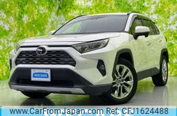 toyota rav4 2019 CFJ1624488