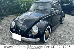 volkswagen the-beetle 1974 -VOLKSWAGEN--VW Beetle 110AD--1142716772---VOLKSWAGEN--VW Beetle 110AD--1142716772-