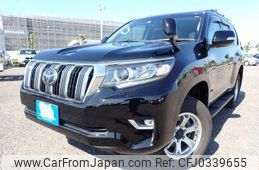 toyota land-cruiser-prado 2019 REALMOTOR_N2024100125F-24