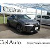 lexus ux 2019 -LEXUS--Lexus UX 6BA-MZAA10--MZAA10-2011326---LEXUS--Lexus UX 6BA-MZAA10--MZAA10-2011326- image 1