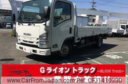 isuzu elf-truck 2019 GOO_NET_EXCHANGE_0702476A30250711W001
