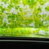 lexus nx 2023 quick_quick_5BA-AAZA20_AAZA20-6000865 image 13