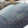 toyota prius 2015 CFJ1614221 image 46