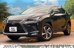 lexus nx 2019 CFJ1705759