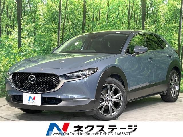 mazda cx-3 2019 CFJ1665601 image 1