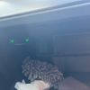 audi q3 2021 CFJ1650573 image 20