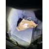 toyota prius-α 2012 -TOYOTA--Prius α DAA-ZVW41W--ZVW41-3143408---TOYOTA--Prius α DAA-ZVW41W--ZVW41-3143408- image 8