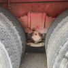 hino hino-others 2008 -HINO--Hino Truck FS1EPYA-ｸﾆ01185412---HINO--Hino Truck FS1EPYA-ｸﾆ01185412- image 7