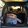 suzuki hustler 2015 -SUZUKI--Hustler DAA-MR41S--307565---SUZUKI--Hustler DAA-MR41S--307565- image 13