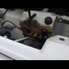 nissan clipper-van 2020 -NISSAN--Clipper Van DR17V--435464---NISSAN--Clipper Van DR17V--435464- image 10